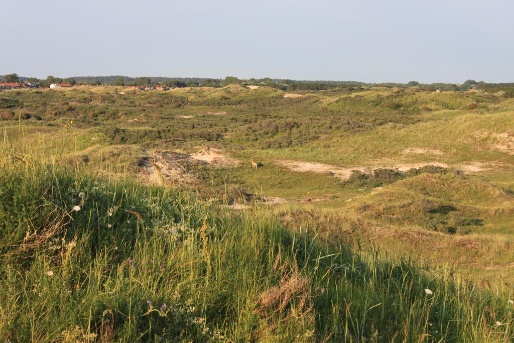 Posthuisje Zandvoort Szoba fotó